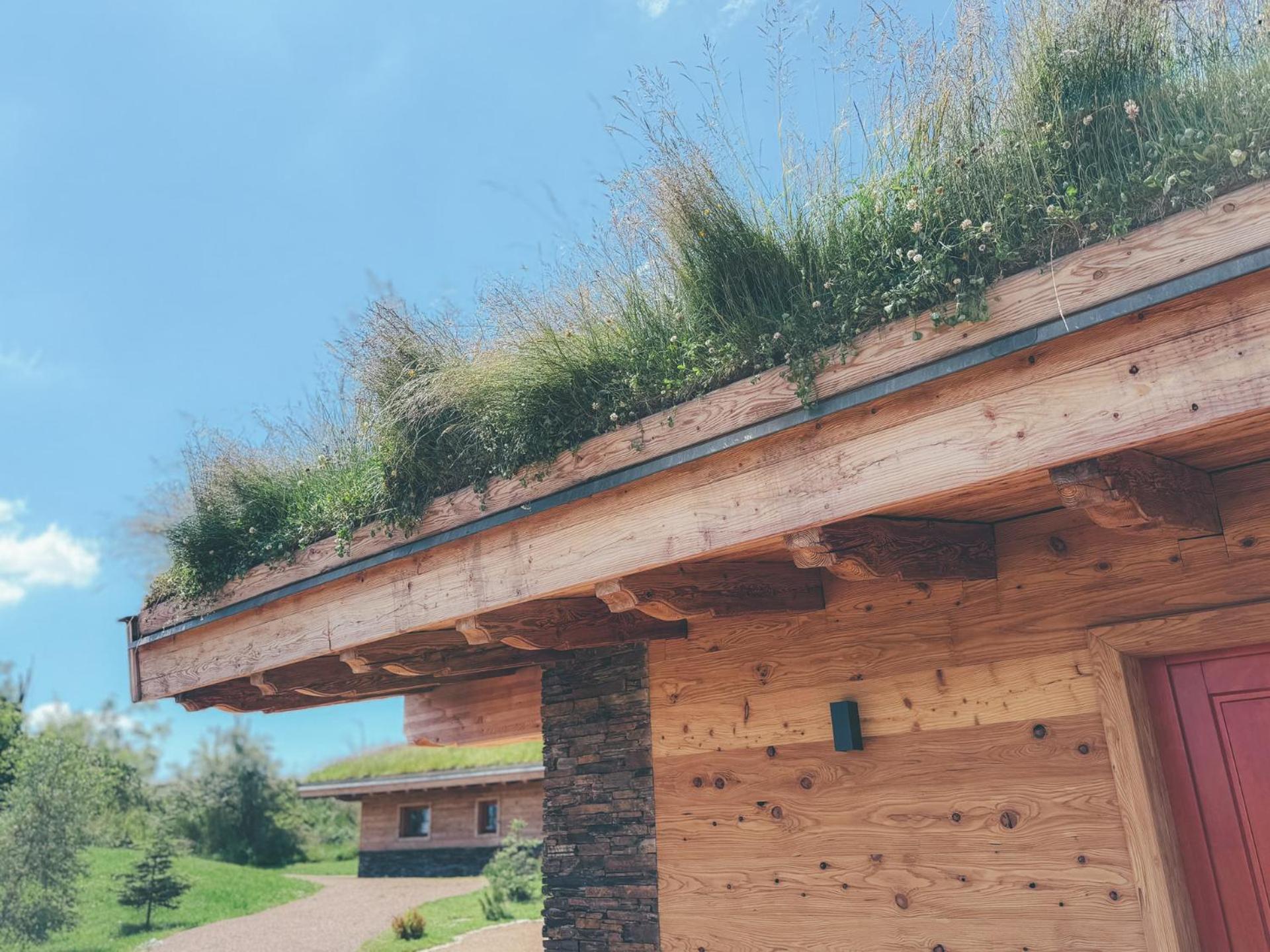 Chalets Resort Cínovec Exterior foto